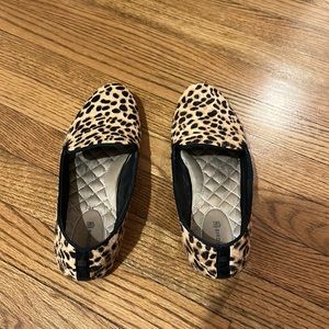 Birdie’s starling flat